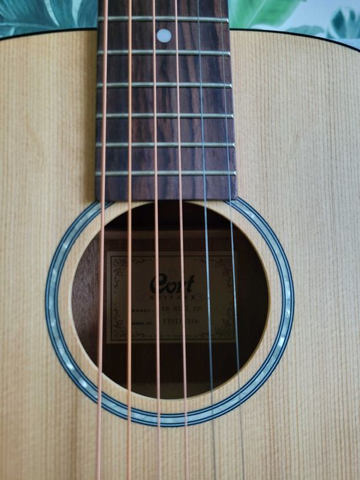 Cort ad810  wersja mini  3/4 OP świerk mohoń