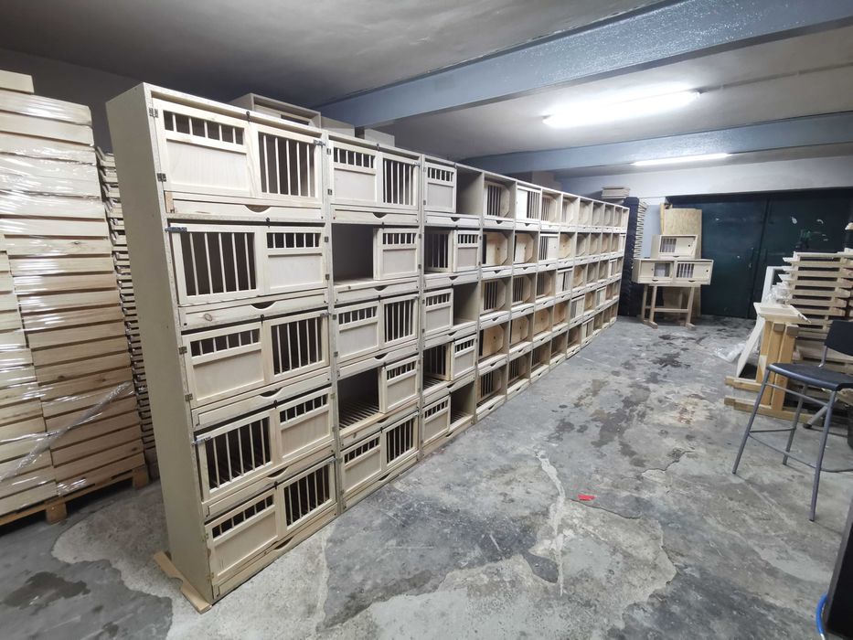 Cele dla gołębi lęgowe