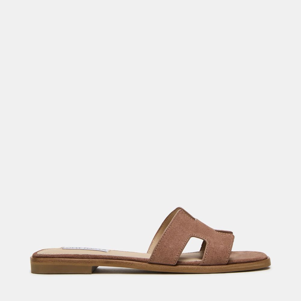 Жіночі шльопки тапочки Steve Madden Hadyn Mocha ОРИГІНАЛ