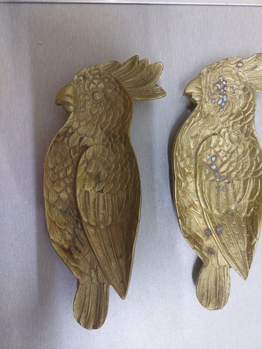 2 papagaio covilhetes