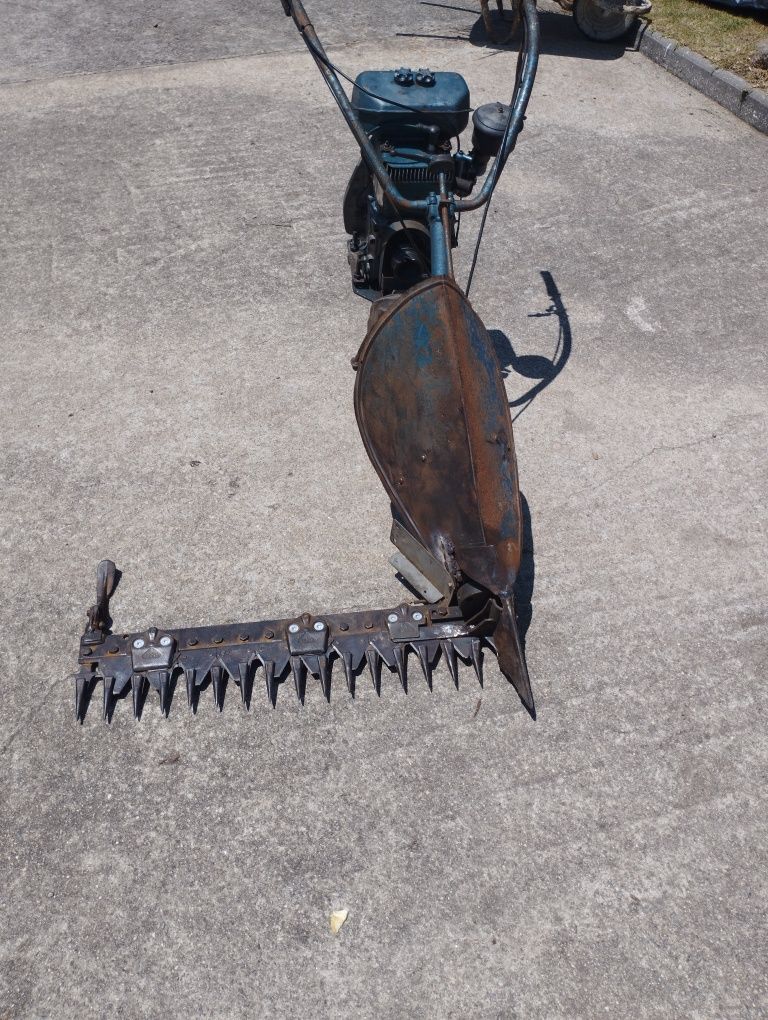 Motor 13 hp / moto gadanheira