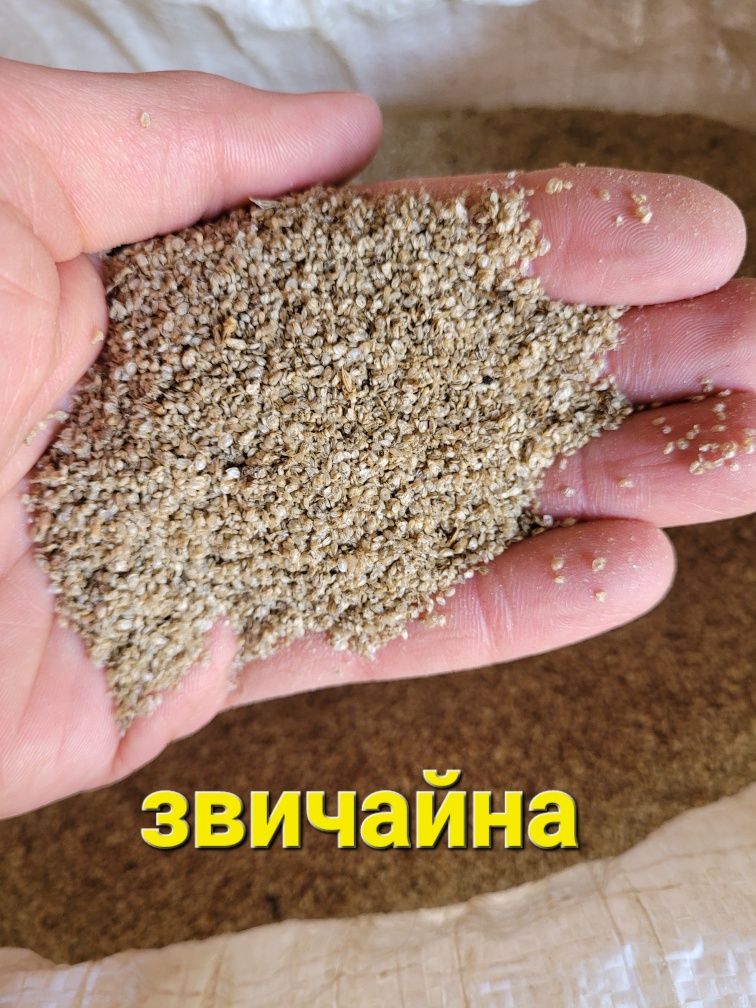 Дафнія великим та малим оптом. Корм для риб.
