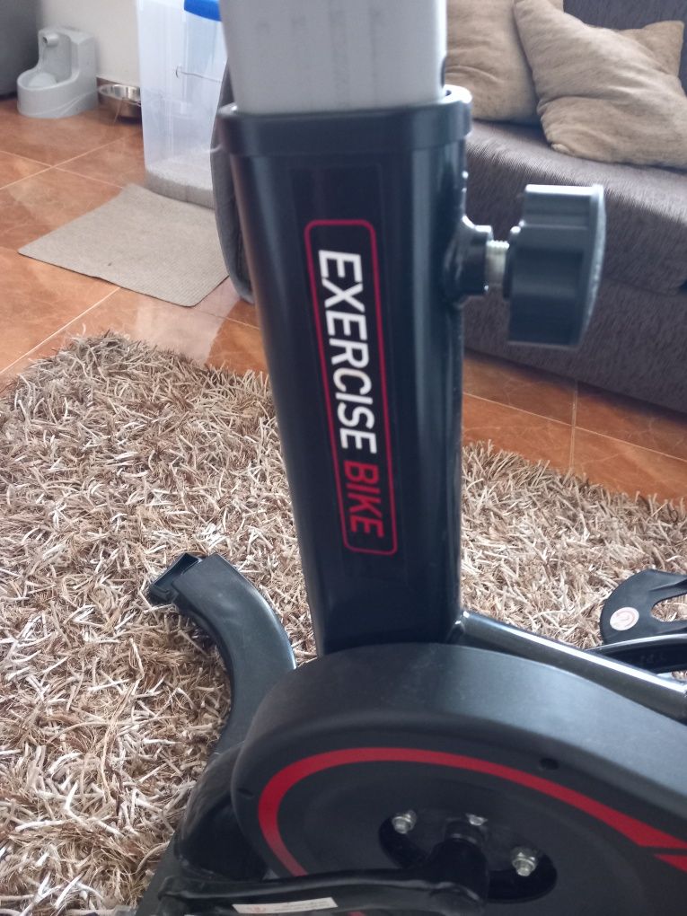 Bicicleta Fitness