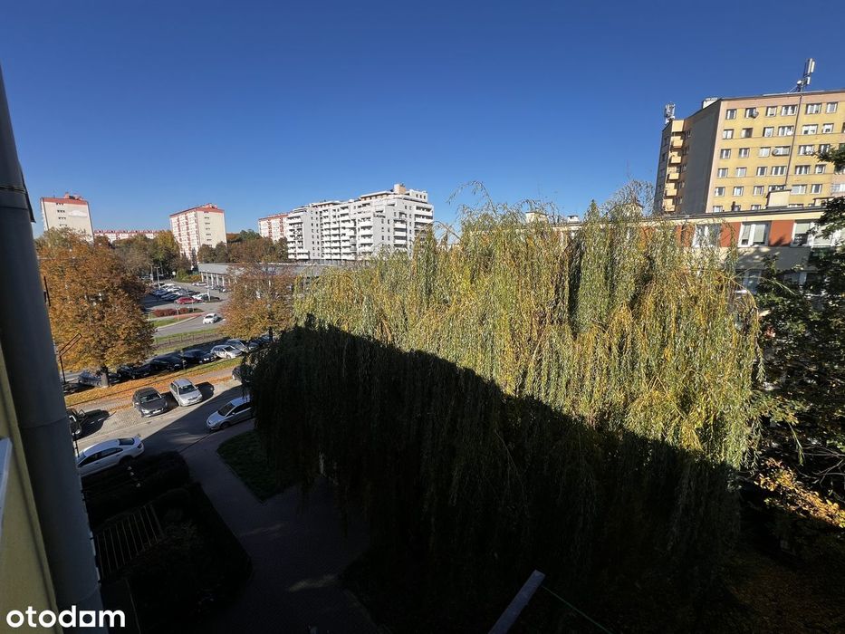 Dwustronne, jasne mieszkanie  z świetną komunikacją. Do wprowadzenia.