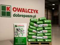 NIOSKA Mlewnikowana DP