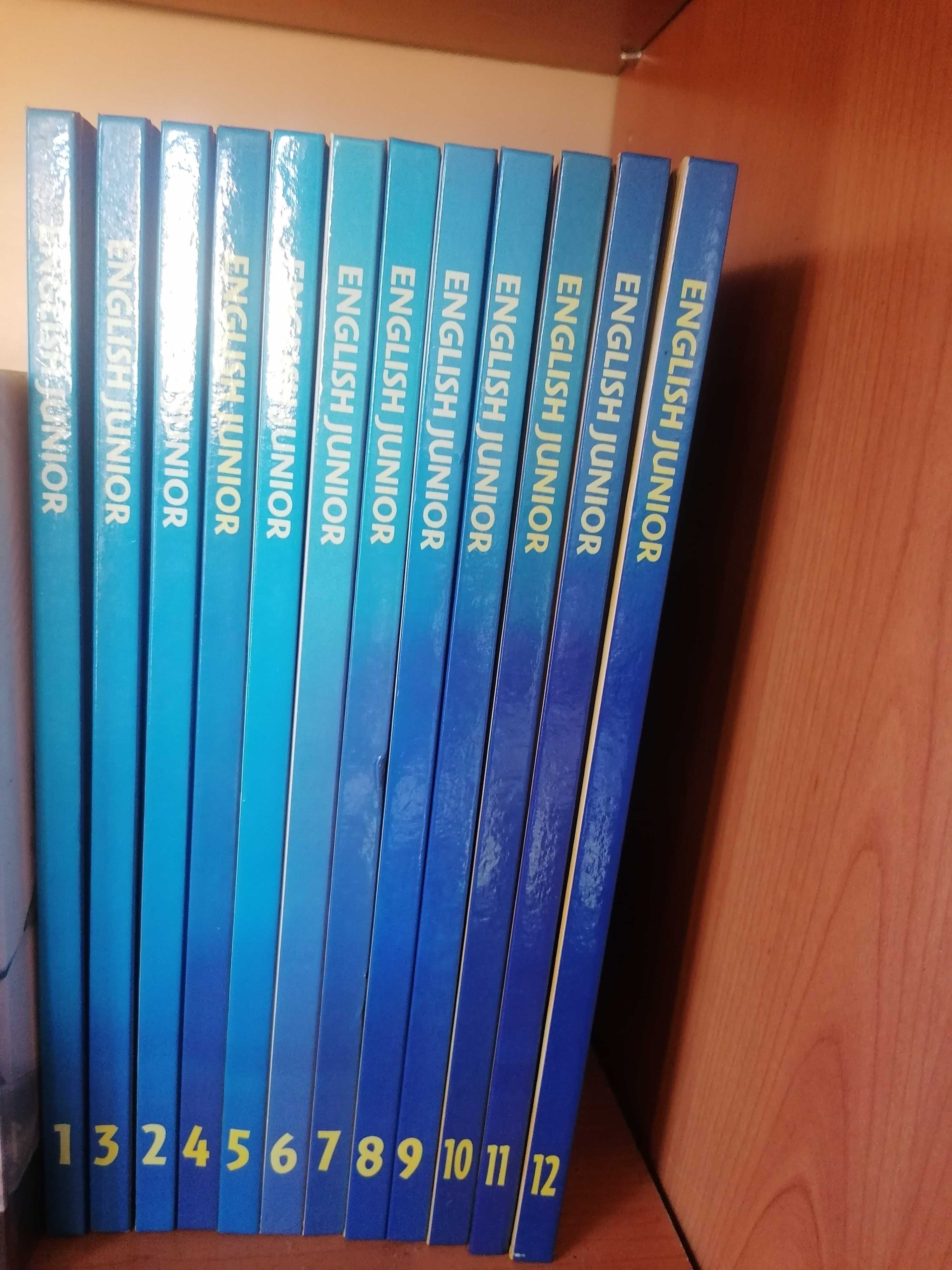 Coleção de 12 livros inglês looney tunes