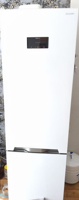 Lodówka Sharp wysokość 180