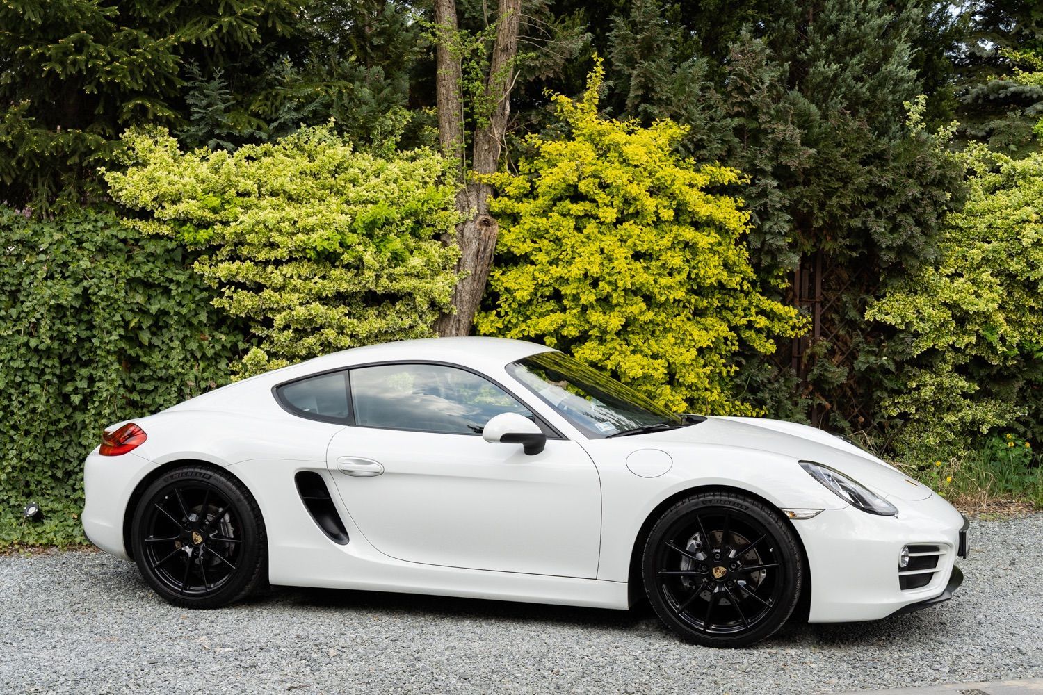 Porsche Cayman Cayman 981 - Polski salon