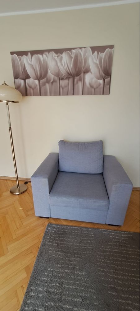 Fotele do salonu / pojedynczo lub w komplecie