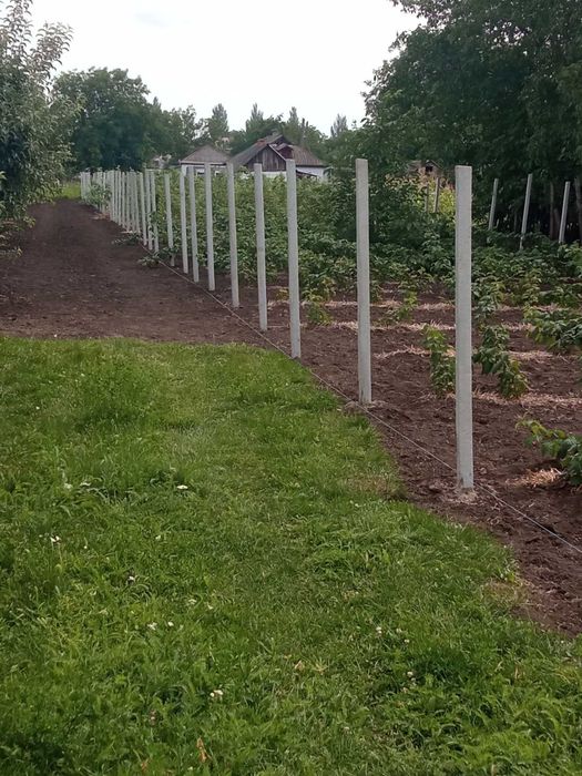 Роблю ями, отвори під стовпчики, дерева