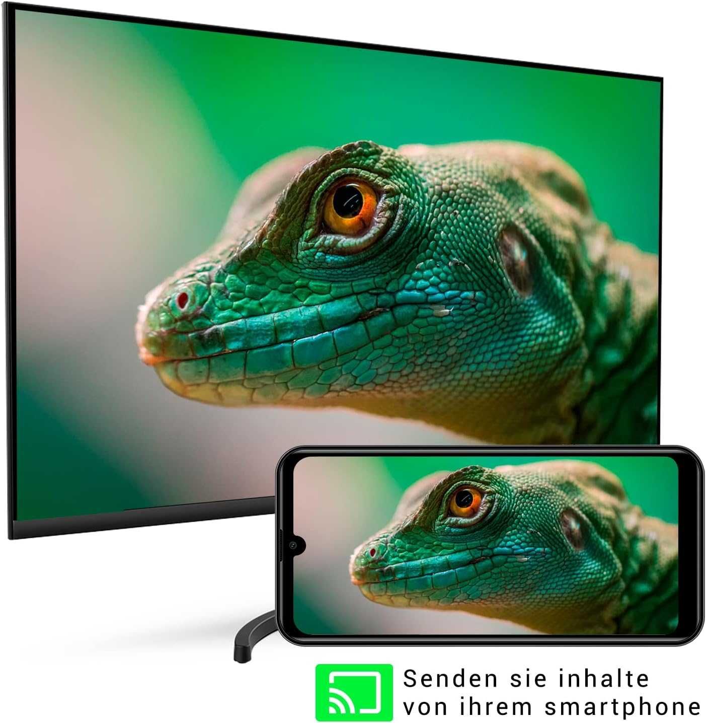 Акція! Монітор 24 дюйми SPC Smart SKU 900024NS (Full HD VA 60Гц)