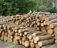 Продам дрова акации недорого