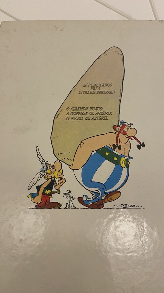 Livro do Asterix - filho do Asterix