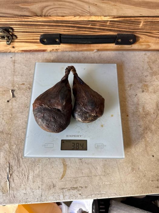 Хороші пари/струя/кастореум/струмінь/боброва/бобровая