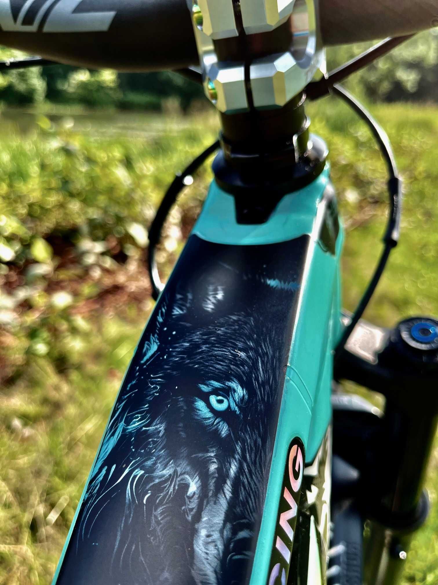 TREK Slash Custom