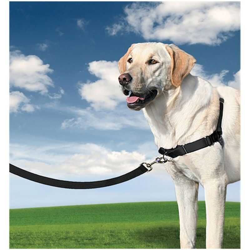 Arnês de treino para cão - PetSafe Easywalk vermelho tamanho M