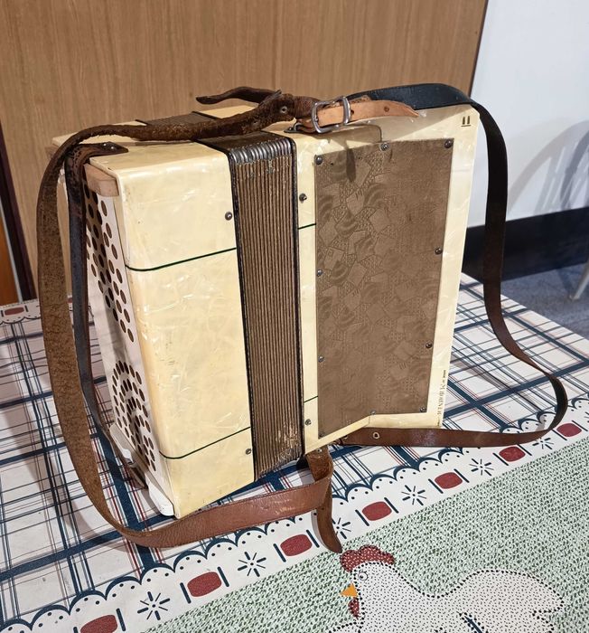 Acordeão Weltmeister Stella e Concertina Hohner Imperial III