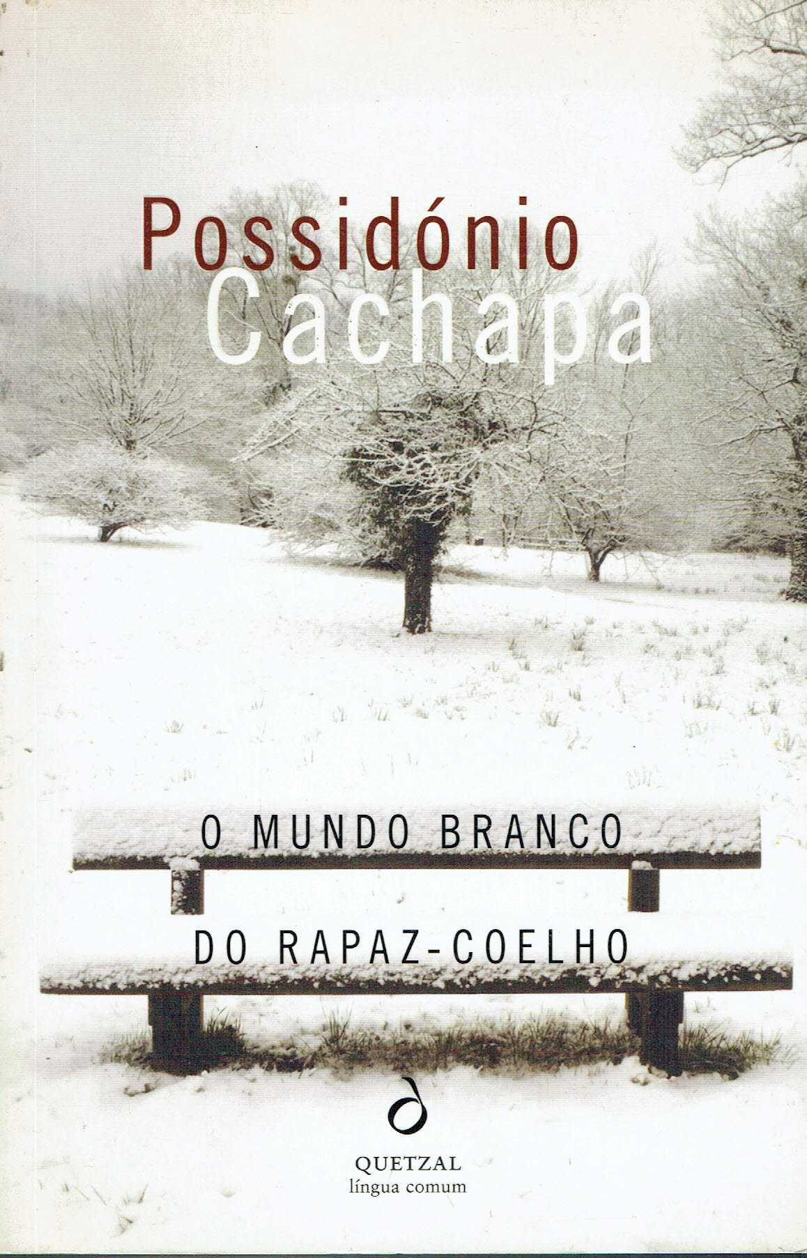 9486

O Mundo Branco do Rapaz Coelho
de Possidónio Cachapa