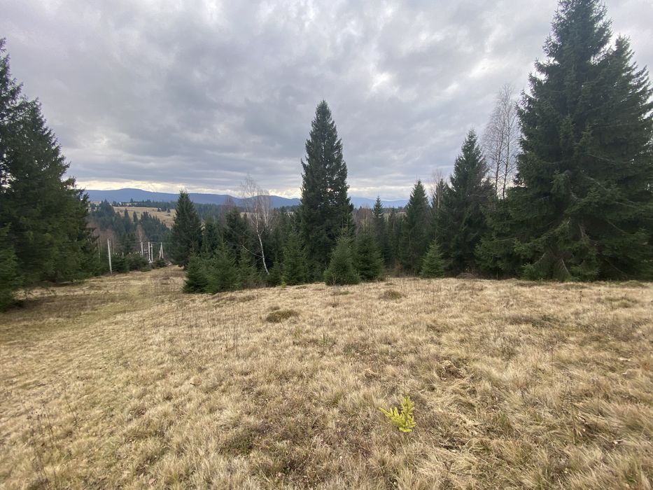 Ділянка з шикарним краєвидом. Яблуниця.