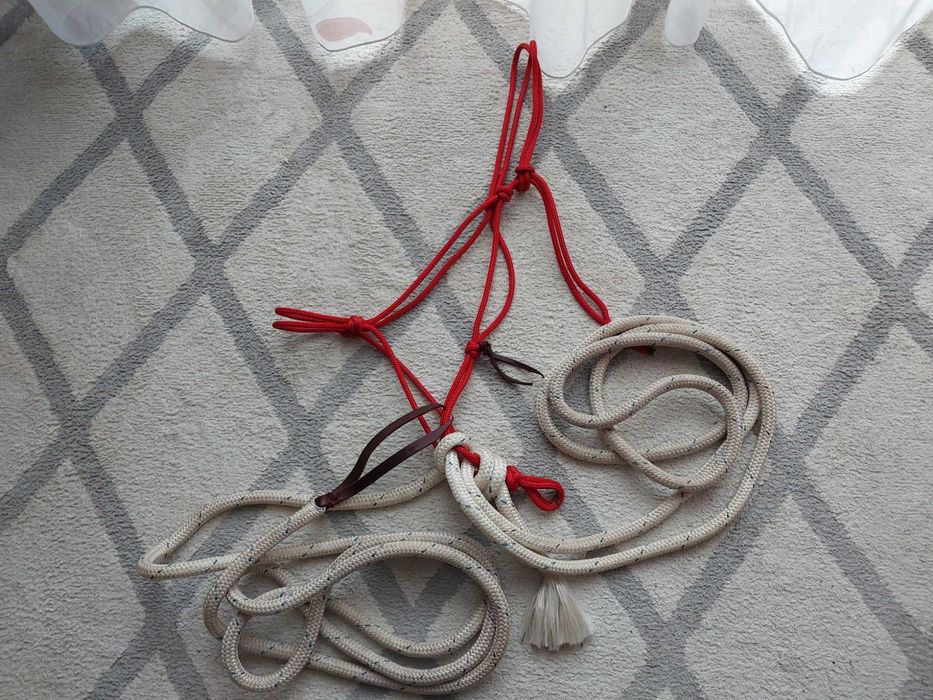 PNH Parelli Natural Hackamore praca naturals jazda na halterze