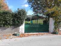 Terreno Agrícola