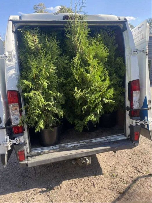 Грузовое такси Харьков, Грузоперевозки, Грузовая машина, Перевозка