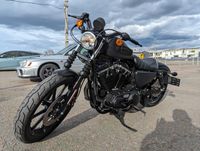 Harley-Davidson Iron 883 MoToBaZa