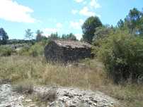 Quinta