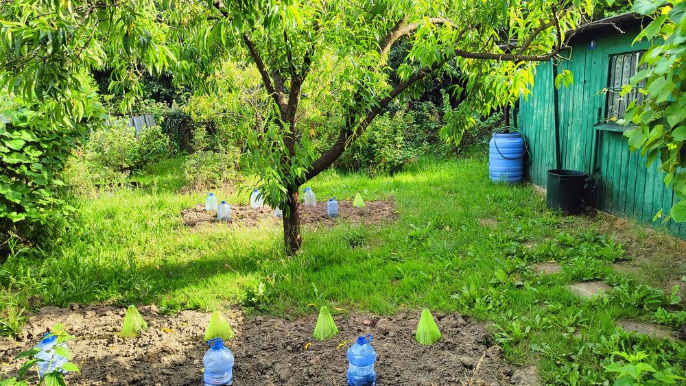 Działka ROD "Nad Jeziorem"