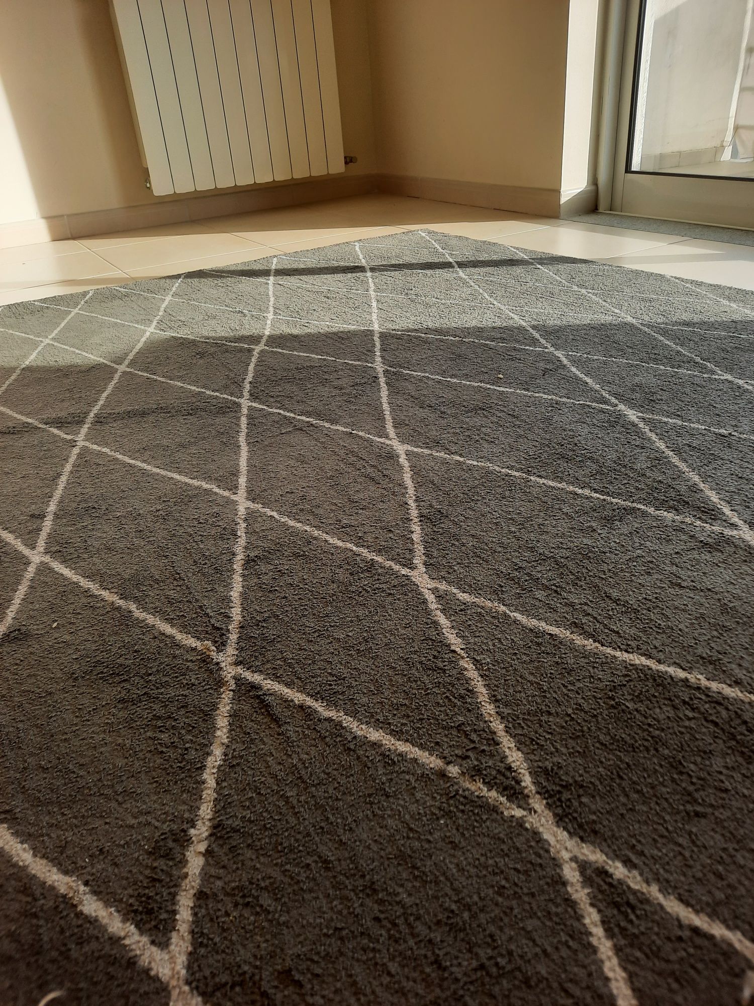Carpete cinza escuro com risca branca 160x230