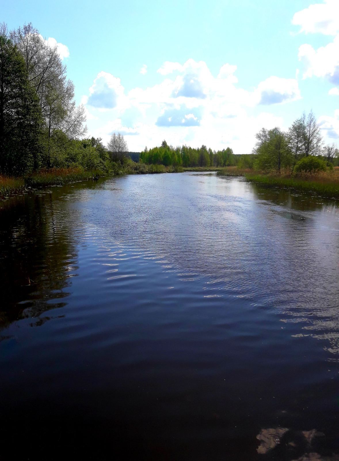 Продаж будинку село Вахівка Вишгородський район 110м2  10 соток