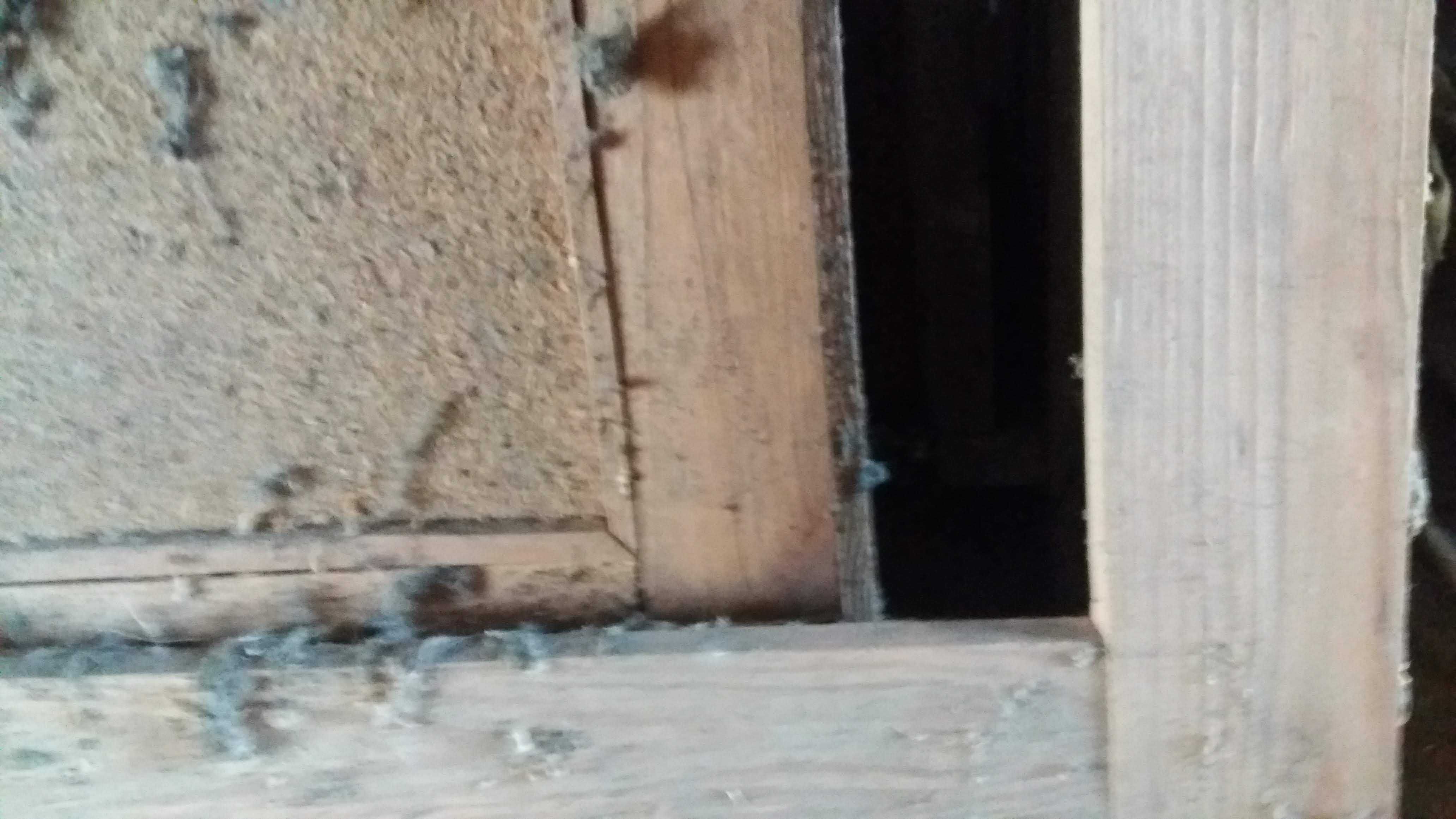 Дверное полотно деревяное