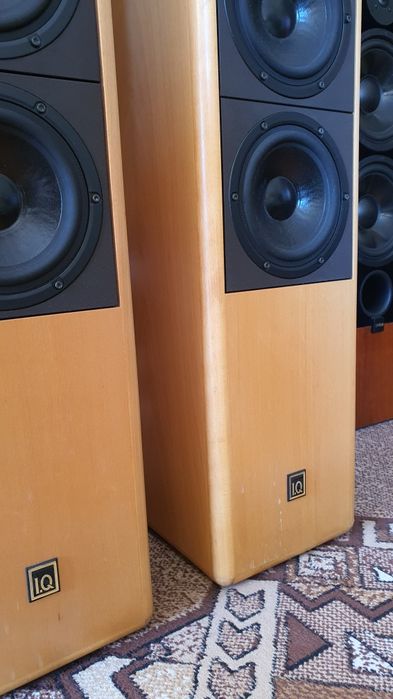 Bezbłędnie punktowy bass kolumny IQ system 200 rozdzielczość jakość