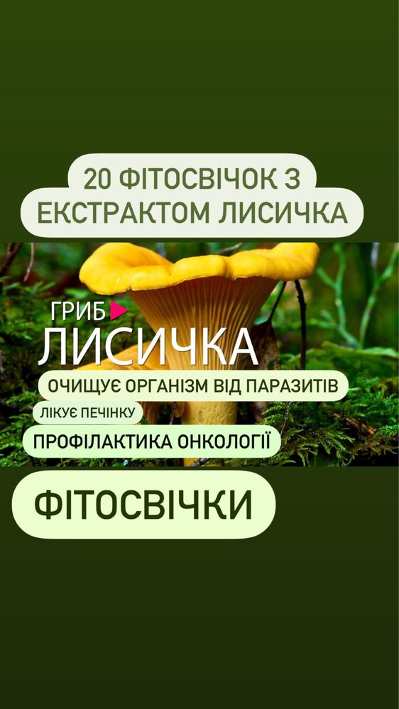 Лисичка - ректальные свечи,от глистов. геморроя.   (простатита)