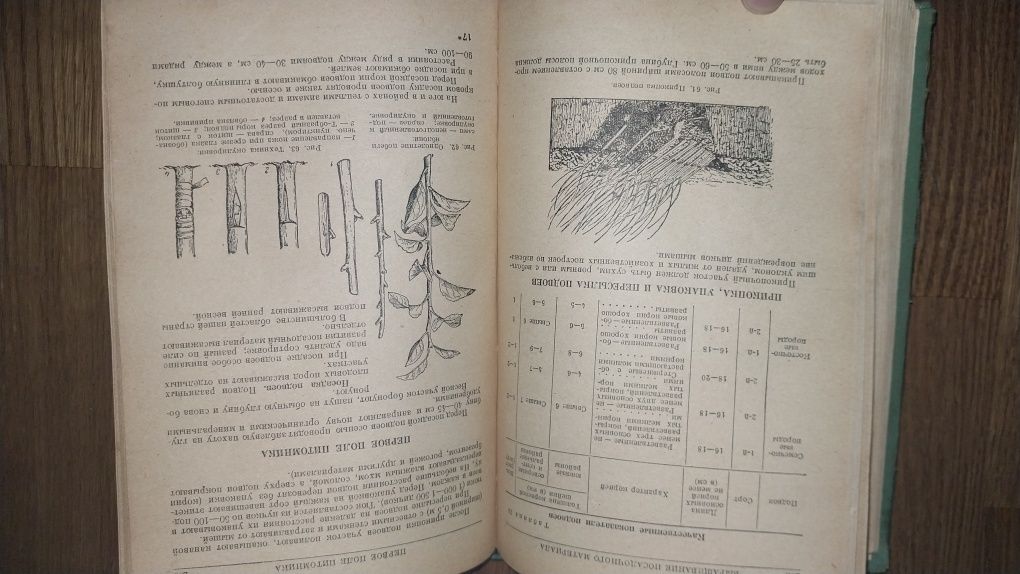Справочник садовода 1956 год
