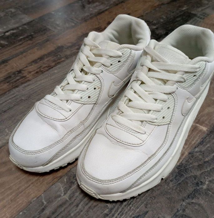 Кросівки Nike Air Max