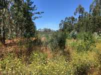 Terreno  para venda