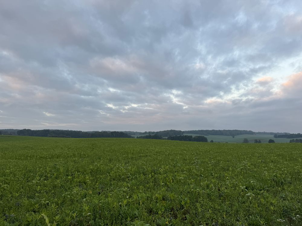 Dzialka rolno - budowlana we wsi Sobota Lwowek Slaski  30 arow