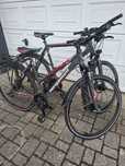 Rowery Bergamont 28"