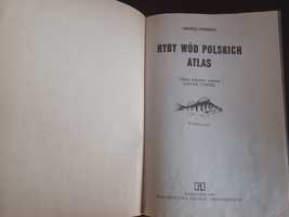 Ryby wód Polskich Atlas Andrzej Rudnicki