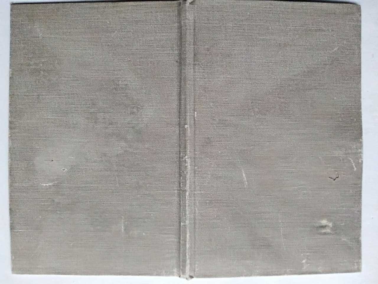 Литография Фридлендер М. Искусство современной Европы 1925 г.