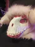 Dino maska furry
