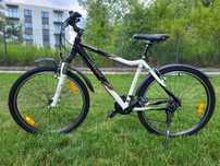 Rower damski Genesis