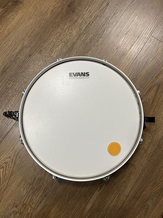 Werbel Dixon Classic 14”x3.5”