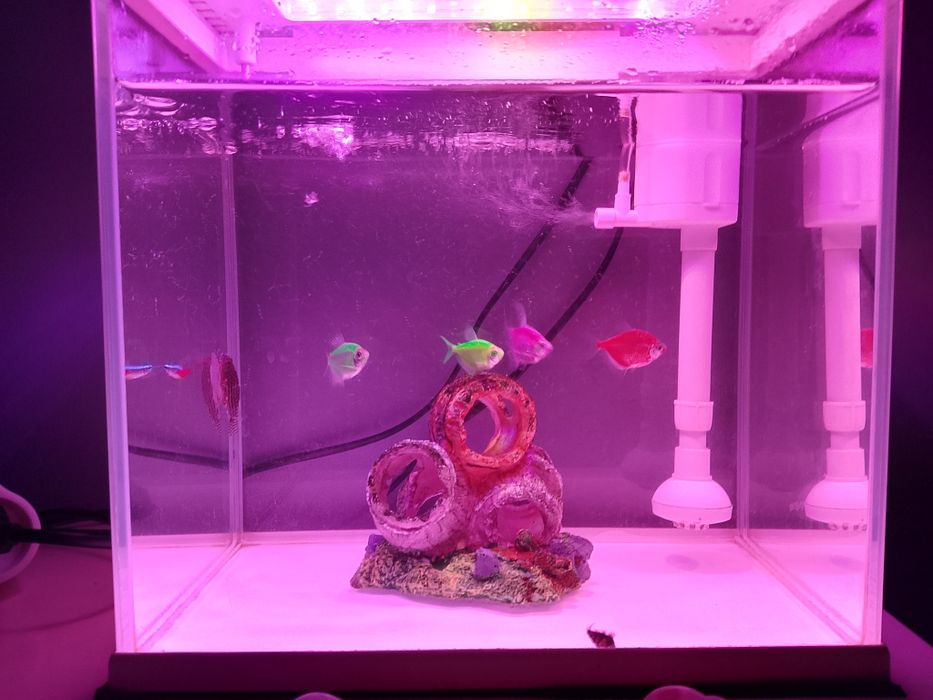 Akwarium na sprzedasz wszystko co na zdj w bardzo dobrym stanie jak no