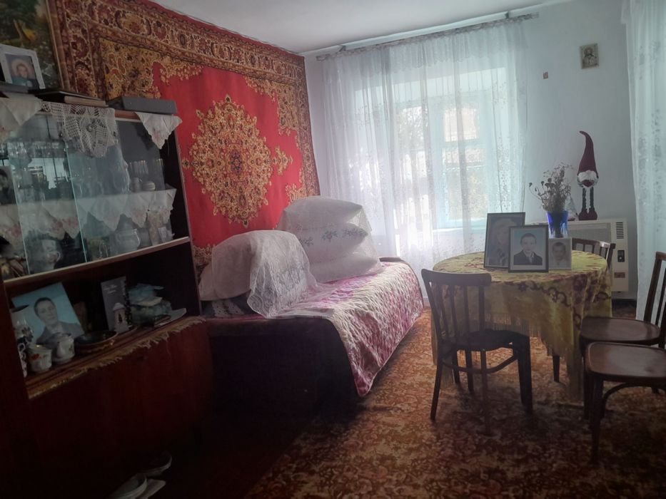 Продам будинок в центрі розвиненого села