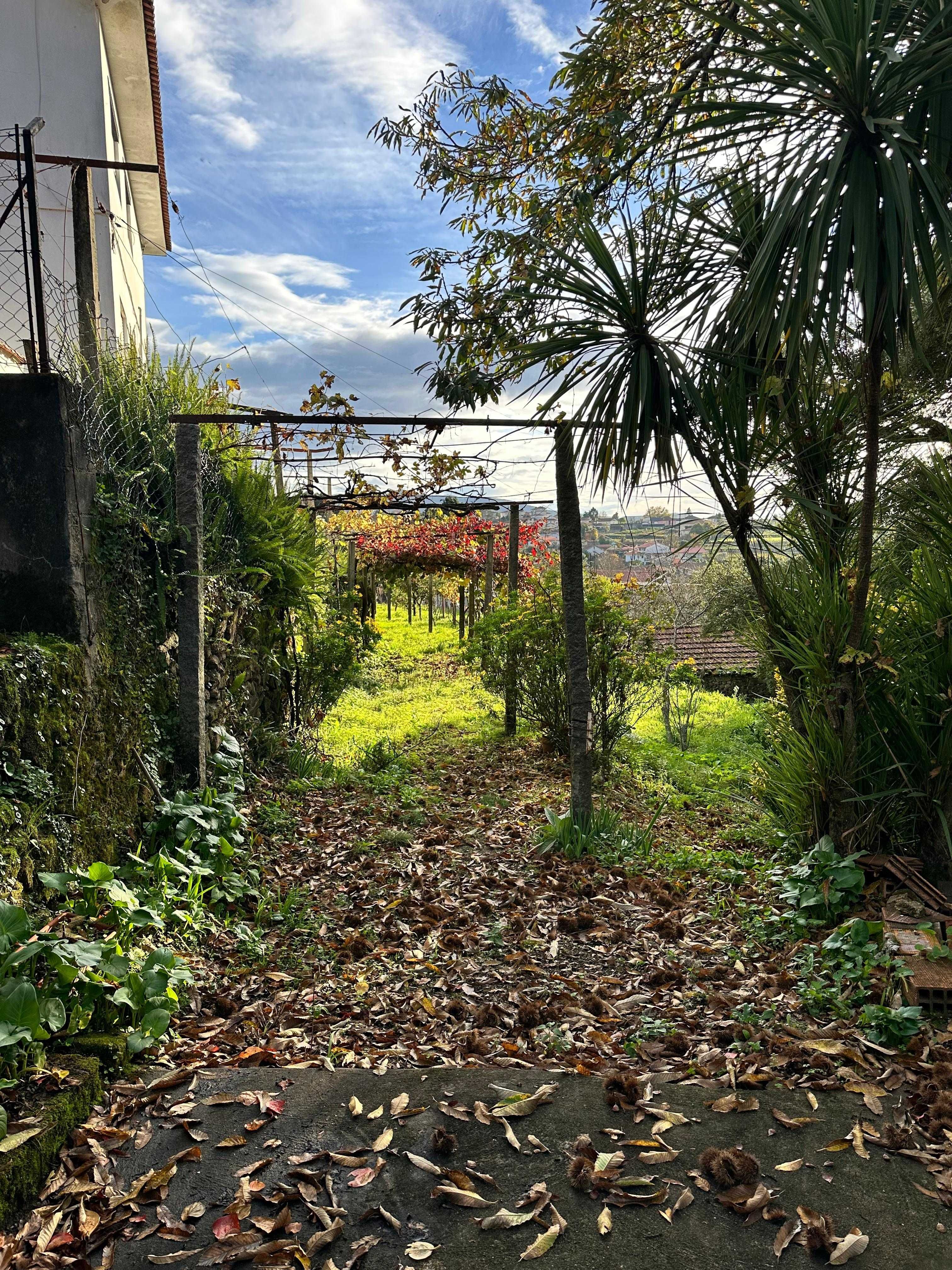 Moradia T2 com Terreno 909 m2 | Macieira de Cambra | 200.000€