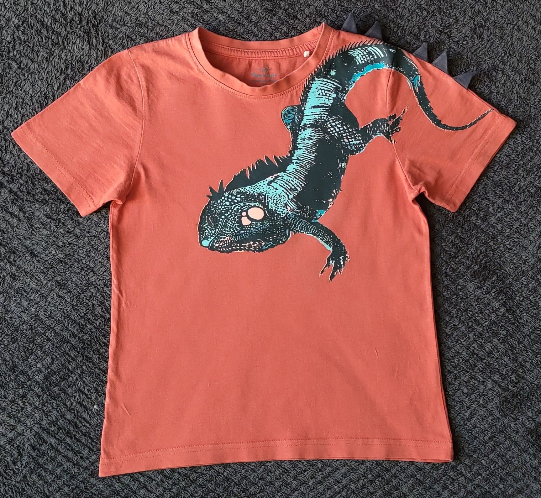 Dinozaur Koszulka rozmiar 116