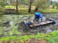 Truxor refuler, odmulanie stawów, czyszczenie i wykaszanie stawów