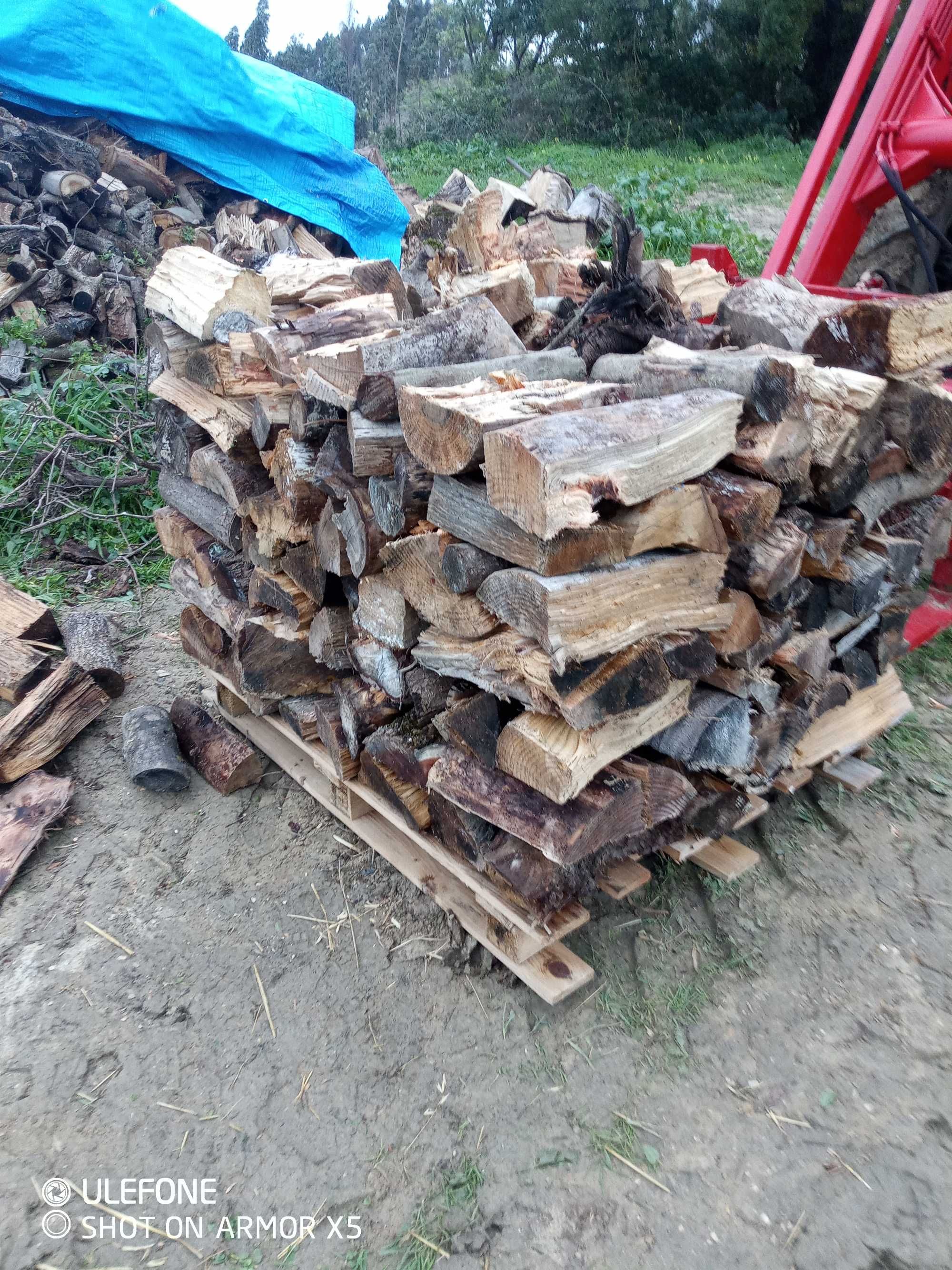 vende-se Lenha em paletes 1m³ 60€